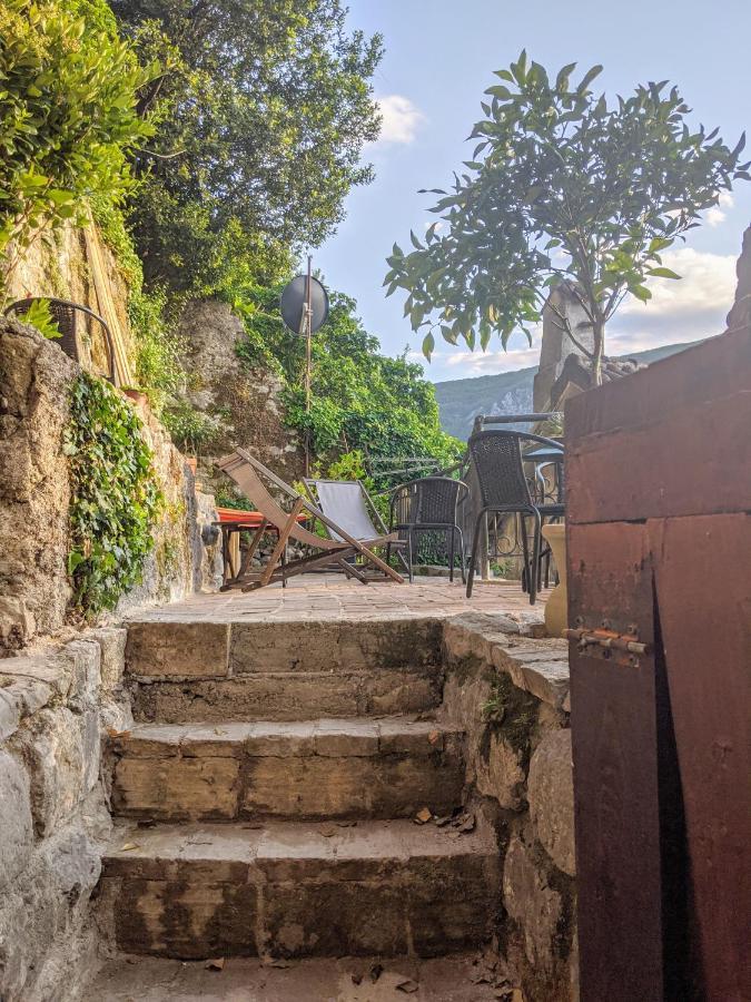 Best View! Rooftop With Garden - Old Town Nr404 Kotor Buitenkant foto