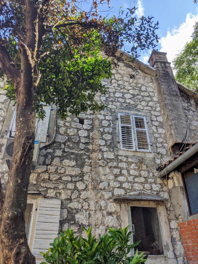 Best View! Rooftop With Garden - Old Town Nr404 Kotor Buitenkant foto